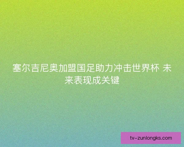 塞尔吉尼奥加盟国足助力冲击世界杯 未来表现成关键