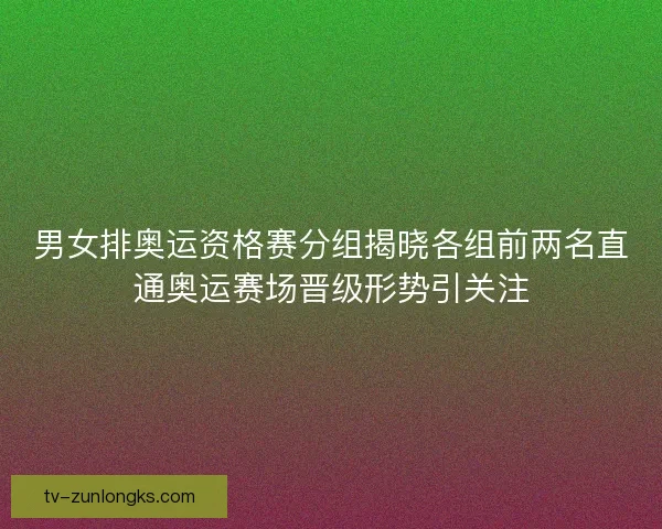 男女排奥运资格赛分组揭晓各组前两名直通奥运赛场晋级形势引关注